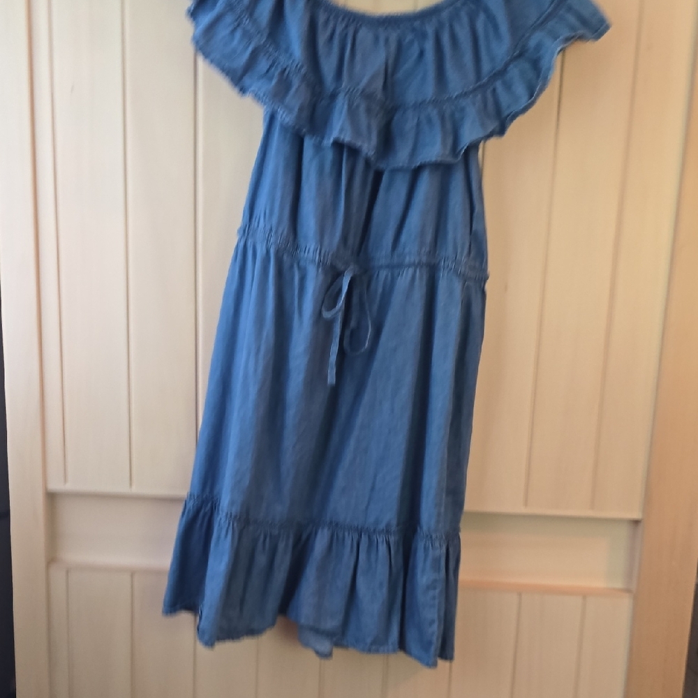 Millenium Denim Dress